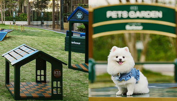 放假帶毛孩去玩！K11 Musea全新Pets Garden、山頂廣場寵物工作坊＋港島區餐廳推介