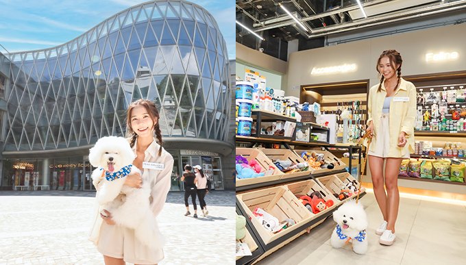 放假帶毛孩去玩！K11 Musea全新Pets Garden、山頂廣場寵物工作坊＋港島區餐廳推介