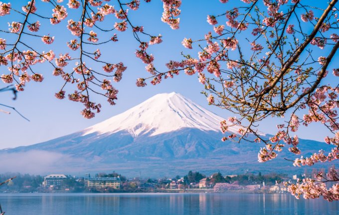 東京賞櫻攻略2023｜櫻花開花時間、交通、晴空塔、富士山賞櫻行程推介