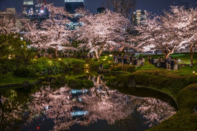 東京賞櫻攻略2023｜櫻花開花時間、交通、晴空塔、富士山賞櫻行程推介