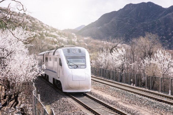 東京賞櫻攻略2023｜櫻花開花時間、交通、晴空塔、富士山賞櫻行程推介