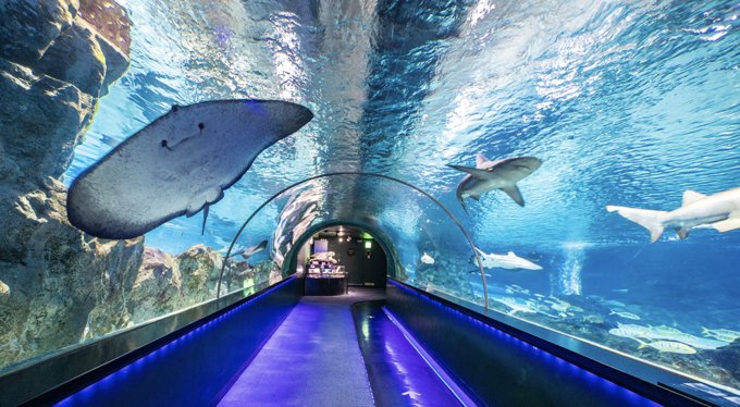 韓國旅行2023！超美夜遊漢江、八重賞櫻、樂天世界、愛寶樂園等打卡行程推介
