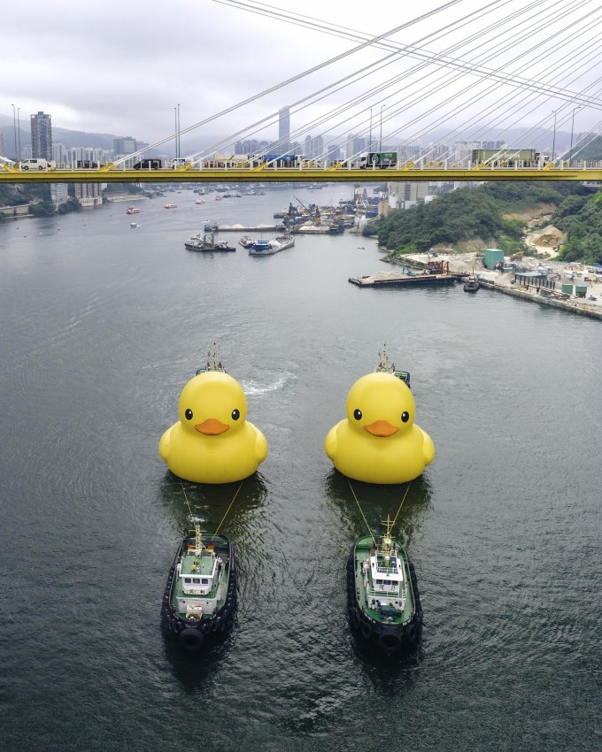 18米高巨型橡皮鴨今早現身青衣海域！ 橡皮鴨訪港 10 周年再次訪港 首度夥拍同伴現身大型海上公共藝術展覽《橡皮鴨二重暢》