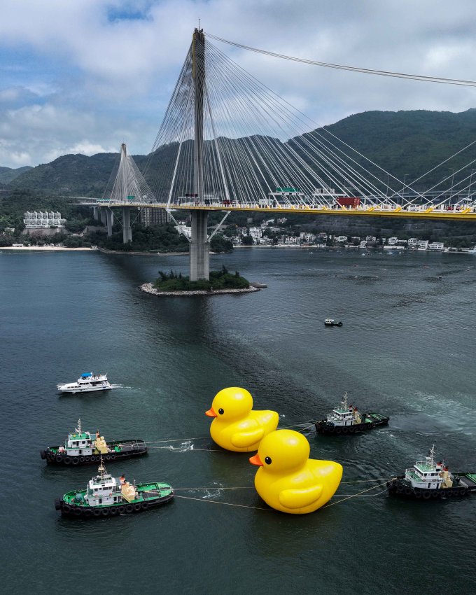 18米高巨型橡皮鴨今早現身青衣海域！ 橡皮鴨訪港 10 周年再次訪港 首度夥拍同伴現身大型海上公共藝術展覽《橡皮鴨二重暢》