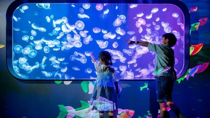 室內香港好去處2025｜放假25大週末好去處！親子/情侶/朋友影相好去處