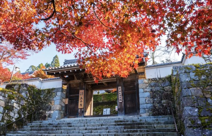日本紅葉2024｜15個人氣日本賞楓景點推介+最新紅葉預測時間