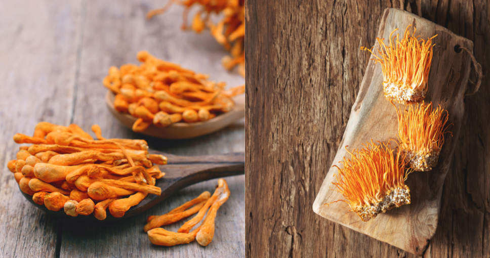 iHerb蟲草推薦2025｜必知5大蟲草功效+增強免疫力/鼻敏感蟲草保健品推介