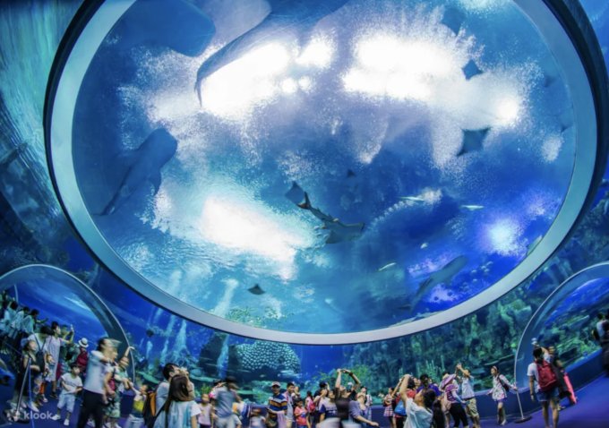 珠海好去處2025｜12大珠海景點推薦+珠海兩日一夜提案！珠海長隆海洋王國/海泉灣/情侶路