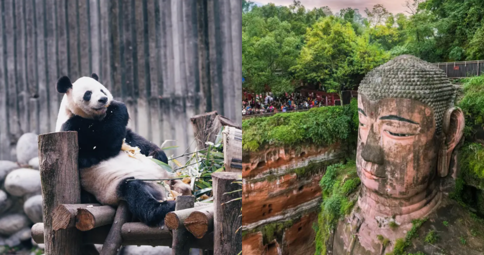成都自由行攻略2025｜12大成都景點推薦！玩遍成都大熊貓繁育研究基地/成都太古里/三星堆