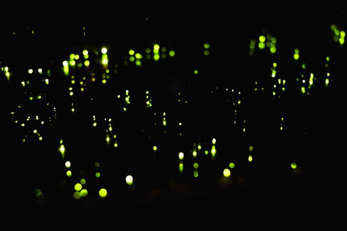 送禮活動｜MOSTown 新港城中心 x The World of Eric Carle 戶外防水餐墊或可摺疊便攜保溫袋