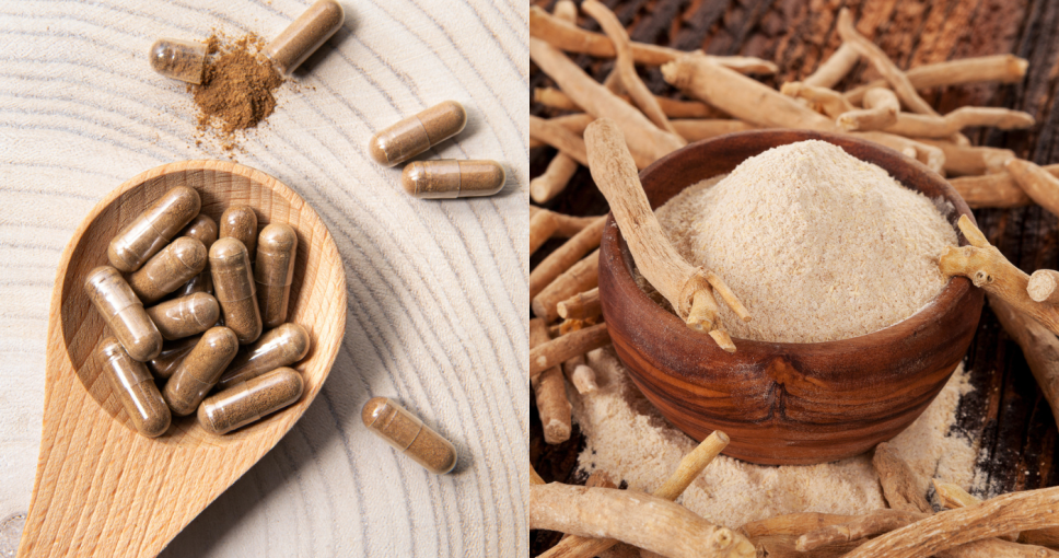 iHerb南非醉茄推薦2025｜印度人參Ashwagandha功效/副作用/劑量全攻略！改善焦慮、失眠及運動表現