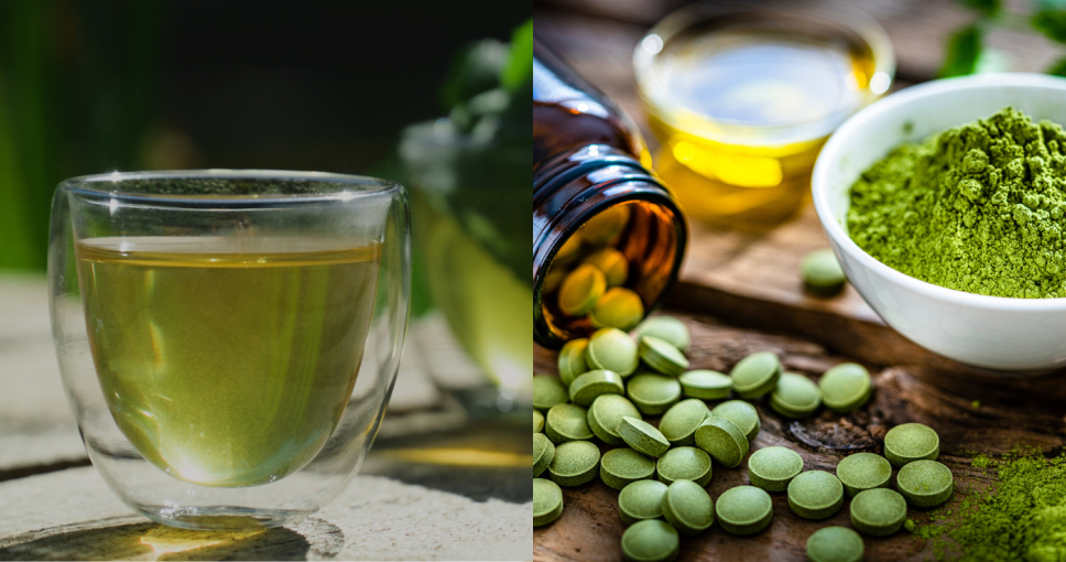 茶胺酸保健食品推薦2025｜吃茶氨酸睡眠質素會變好？茶氨酸功效/攝取量/副作用全攻略