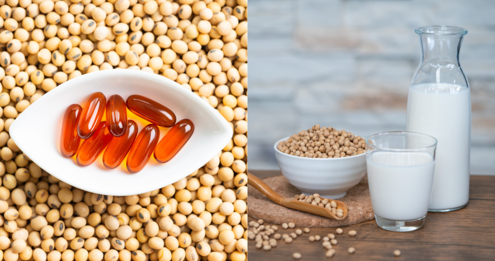 卵磷脂推薦2025｜卵磷脂孕婦吃有助胎兒腦部發育？卵磷脂功效/副作用/食物一文看