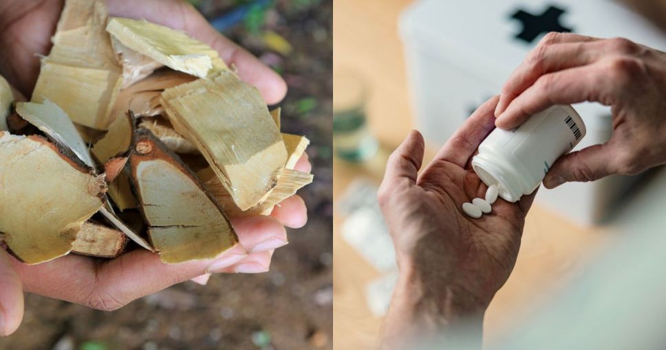 東革阿里膠囊推薦2025｜吃東革阿里反應有甚麼？東革阿里功效及副作用一文看